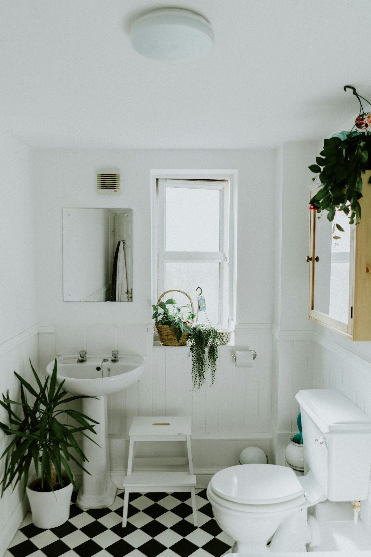 Luxury Bathroom Remodeling and Custom Shower Plumbing
